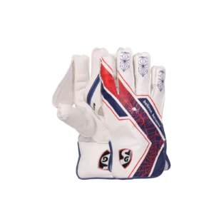 SG Club Wicket Keeping Gloves (Multi-Color)