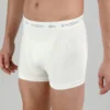 dsc-suppotor-trunk-off-white-3_2